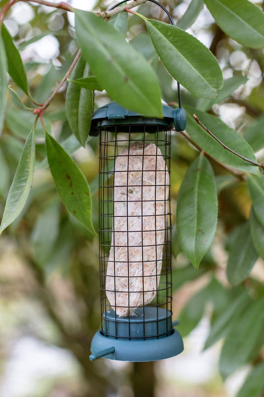 Vogelfutter
